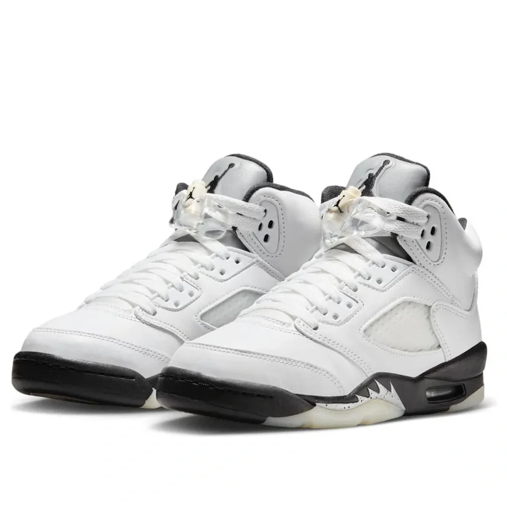 Nike Air Jordan 5 retro reverse silver 440889-110 3PS